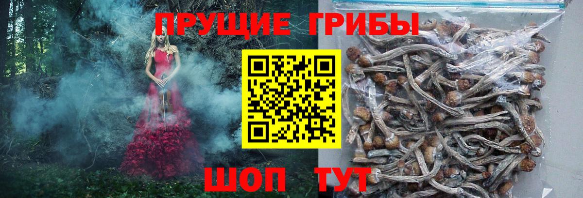 Галлюциногенные грибы прущие грибы Изобильный